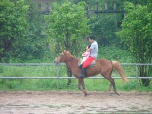 広州映画村アトラクション、有料で子供を乗馬させ