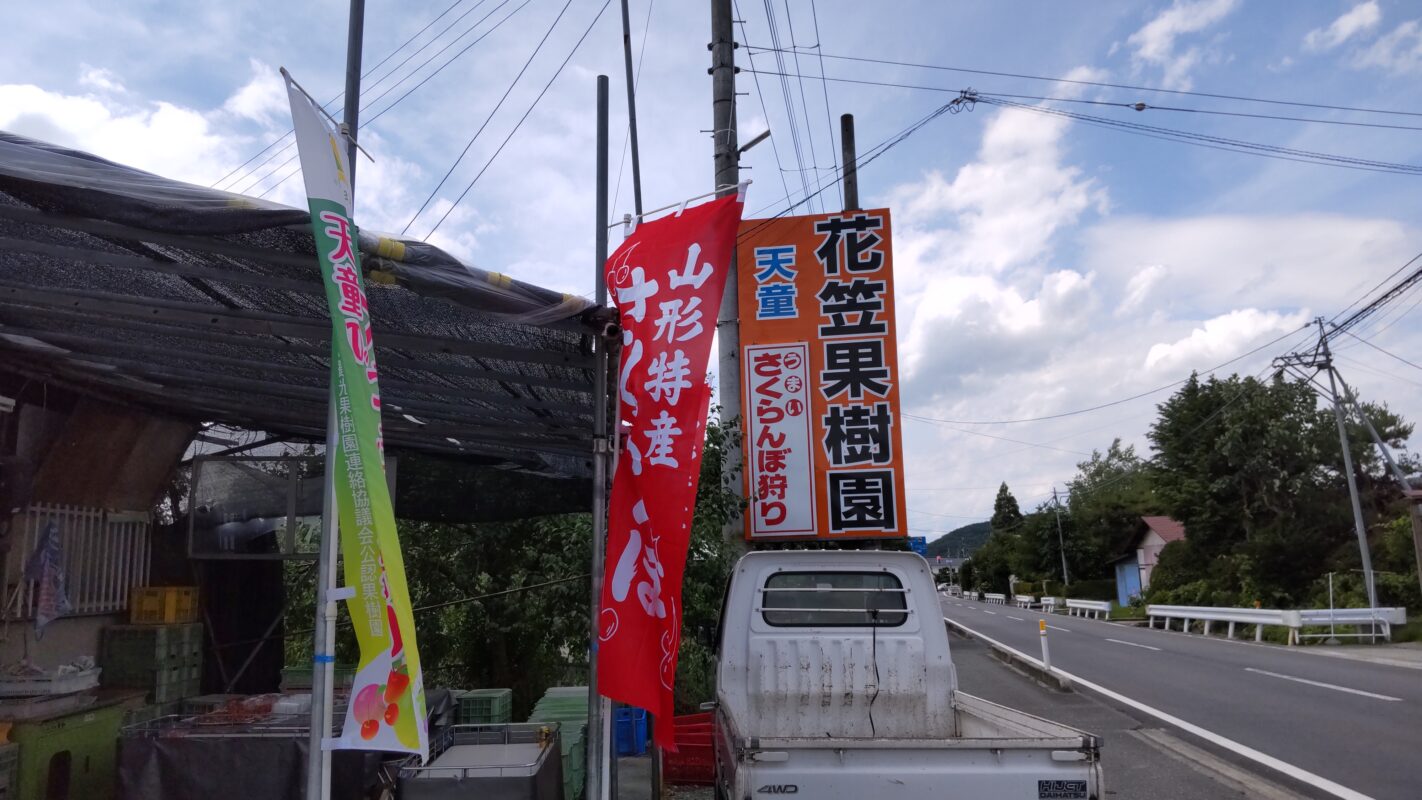 2022年6月に定年退職3年目にして国内旅行、山形県天童市にてサクランボ狩り